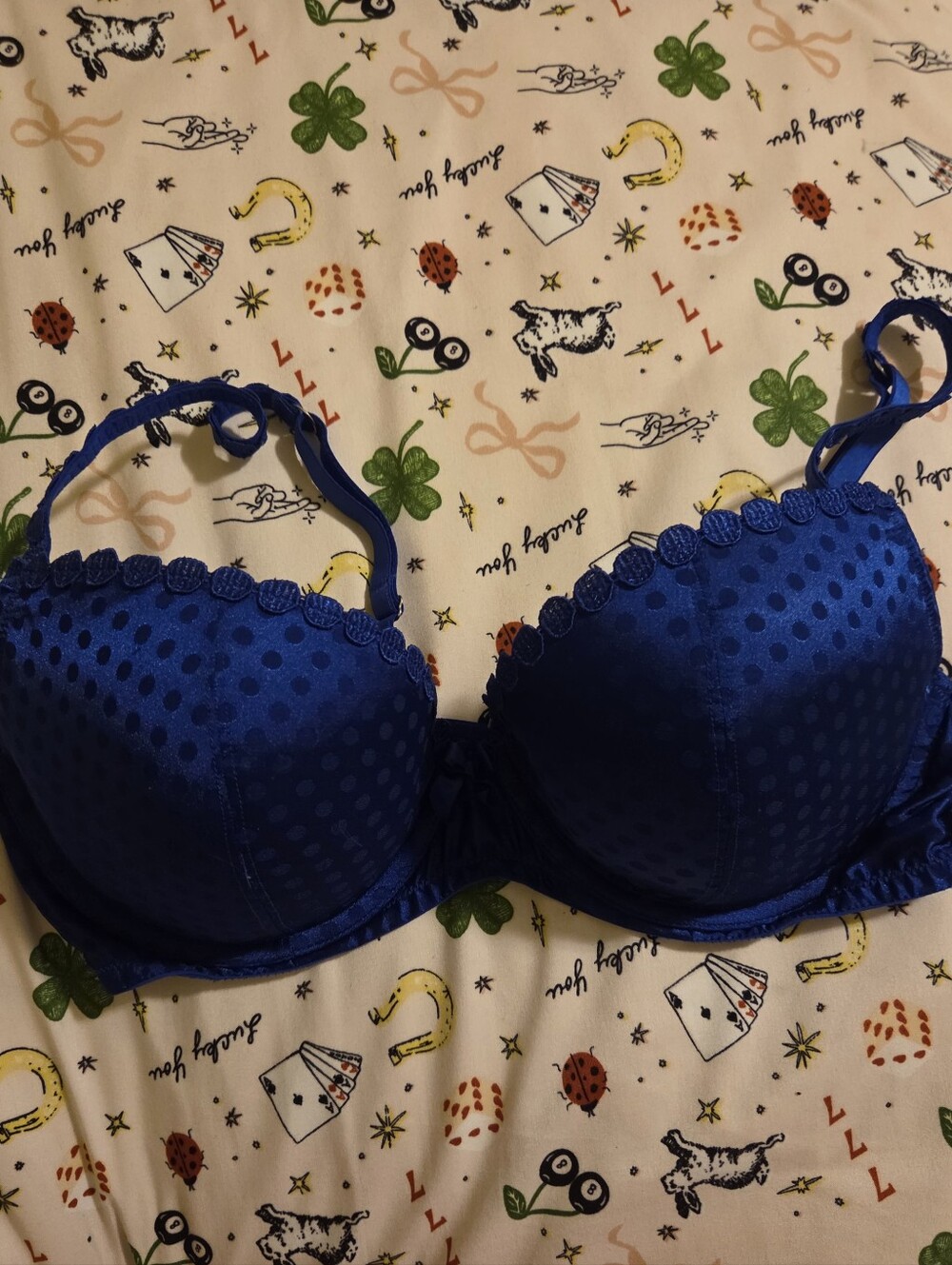 Blue Polka Dot Push-Up Bra - Aerie 36D